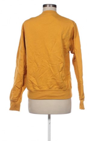 Damen Shirt Uniqlo, Größe XS, Farbe Gelb, Preis € 23,99