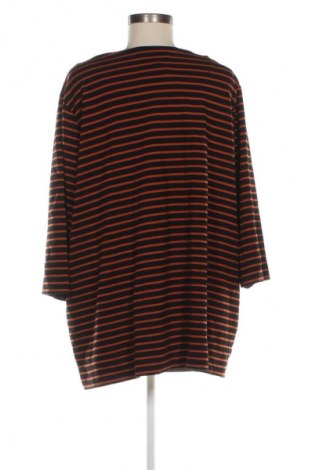 Damen Shirt Via Appia, Größe 3XL, Farbe Mehrfarbig, Preis € 23,99