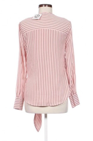 Damen Shirt Warehouse, Größe M, Farbe Mehrfarbig, Preis 17,38 €