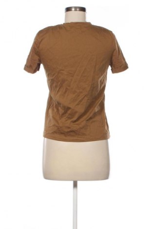 Damen Shirt Zara, Größe S, Farbe Braun, Preis € 10,00
