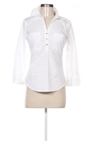 Damen Shirt Zara, Größe M, Farbe Weiß, Preis 14,00 €
