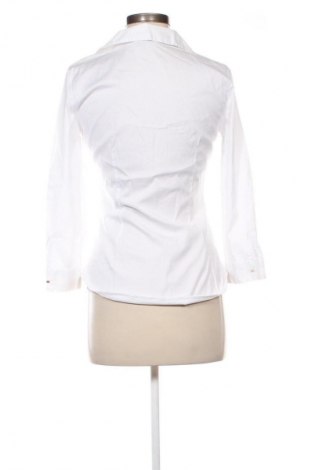 Damen Shirt Zara, Größe M, Farbe Weiß, Preis 14,00 €