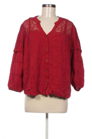 Damenbluse Knox Rose, Größe XL, Farbe Mehrfarbig, Preis € 17,99