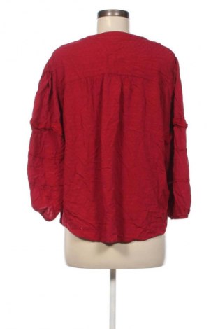 Damenbluse Knox Rose, Größe XL, Farbe Mehrfarbig, Preis € 17,99