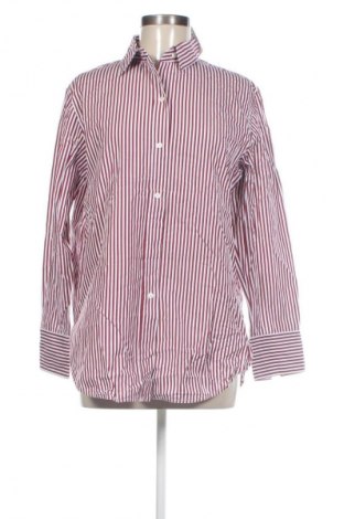 Damska koszula Massimo Dutti, Rozmiar XL, Kolor Kolorowy, Cena 180,99 zł