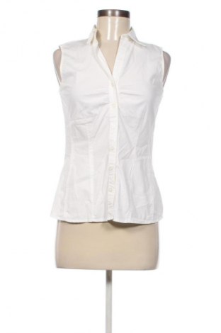 Damenbluse Tom Tailor, Größe S, Farbe Ecru, Preis € 17,30