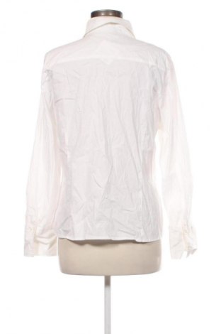 Damenbluse Your Sixth Sense, Größe XL, Farbe Weiß, Preis € 12,79