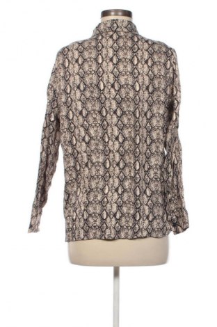 Damenbluse Zara, Größe S, Farbe Mehrfarbig, Preis € 18,99