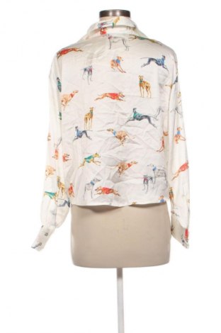 Damenbluse Zara, Größe S, Farbe Mehrfarbig, Preis € 18,99