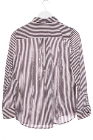 Γυναικείο πουκάμισο Zara, Μέγεθος XS, Χρώμα Πολύχρωμο, Τιμή 13,81 €
