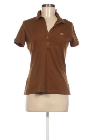Damen T-Shirt Lacoste, Größe M, Farbe Braun, Preis € 28,04