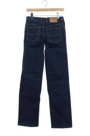 Γυναικείο Τζίν Unbranded, Μέγεθος S, Χρώμα Μπλέ, Τιμή 29,99 €