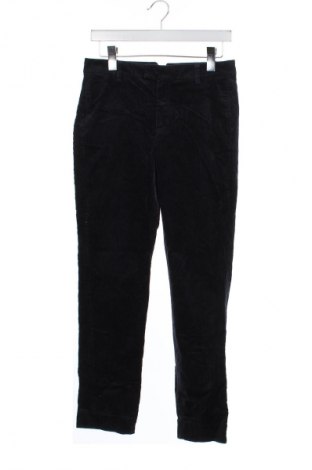 Dámské manšestráky  Massimo Dutti, Velikost S, Barva Modrá, Cena  1 099,00 Kč