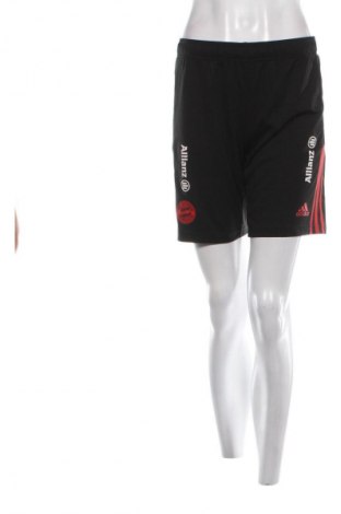 Damen Shorts Adidas, Größe M, Farbe Mehrfarbig, Preis € 23,99