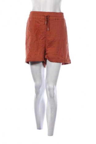 Damen Shorts Etam, Größe L, Farbe Braun, Preis € 53,99