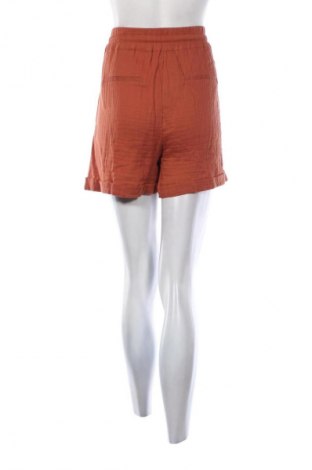 Damen Shorts Etam, Größe L, Farbe Braun, Preis € 53,99