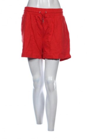 Damen Shorts Primark, Größe M, Farbe Rot, Preis 9,99 €