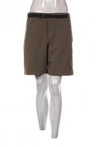 Damen Shorts Regatta, Größe XL, Farbe Grün, Preis 19,99 €