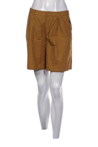 Damen Shorts Unbranded, Größe M, Farbe Grün, Preis 9,72 €