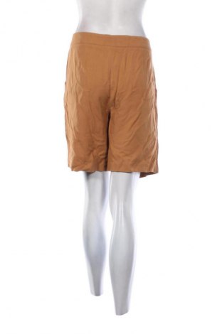 Damen Shorts Zara, Größe L, Farbe Golden, Preis 18,99 €