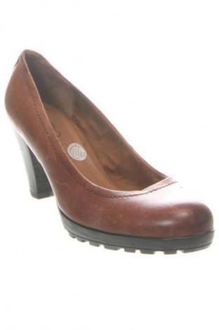 Damenschuhe Aldo, Größe 38, Farbe Braun, Preis 79,88 €