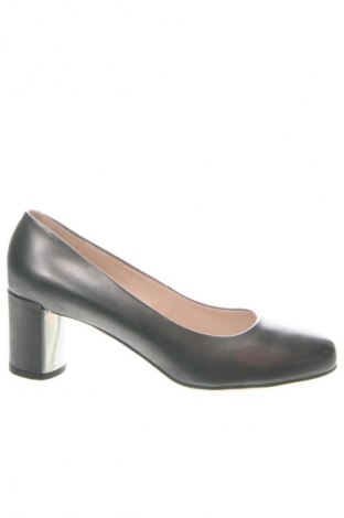 Damenschuhe Gino Rossi, Größe 40, Farbe Mehrfarbig, Preis 24,49 €
