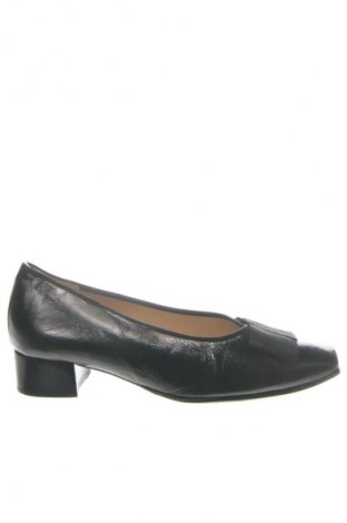 Damenschuhe HASSIA, Größe 38, Farbe Schwarz, Preis 122,94 €
