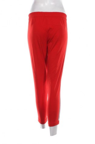 Damenhose Bershka, Größe XS, Farbe Rot, Preis € 20,99