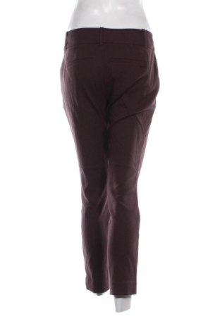 Damskie spodnie Calvin Klein, Rozmiar M, Kolor Czerwony, Cena 338,99 zł