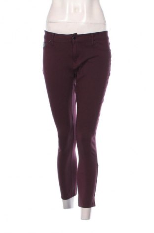 Damenhose Calvin Klein, Größe S, Farbe Lila, Preis € 50,43