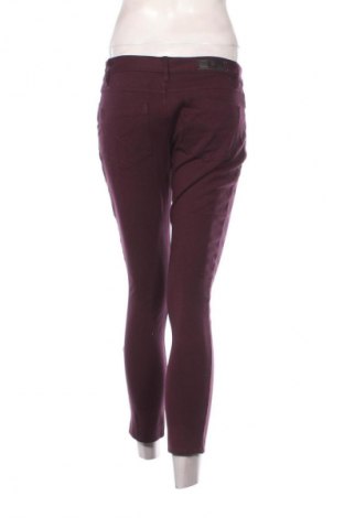 Damenhose Calvin Klein, Größe S, Farbe Lila, Preis € 50,43