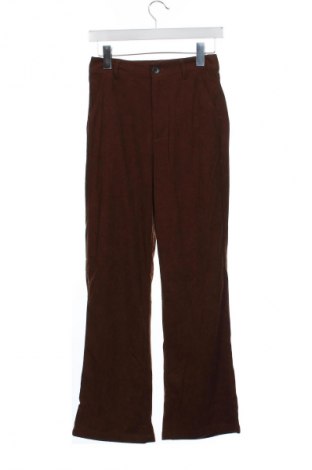 Damenhose Cider, Größe XS, Farbe Braun, Preis 20,99 €