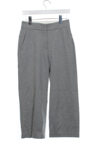 Damenhose Esprit, Größe XS, Farbe Grau, Preis € 28,99