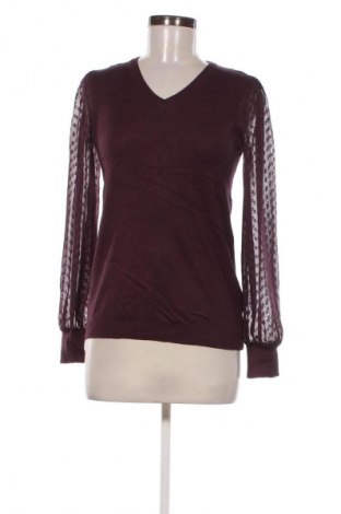 Damenpullover Adrianna Papell, Größe XS, Farbe Lila, Preis € 79,99