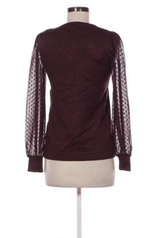 Damenpullover Adrianna Papell, Größe XS, Farbe Lila, Preis € 79,99