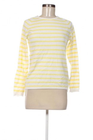 Damski sweter Blue Motion, Rozmiar S, Kolor Kolorowy, Cena 45,99 zł