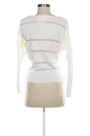 Damenpullover Morgan, Größe XS, Farbe Ecru, Preis € 28,99