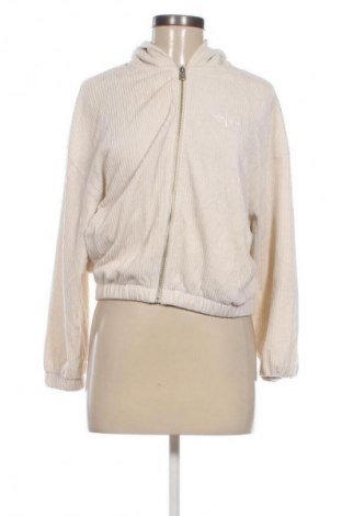 Damen Sweatshirt Calvin Klein Jeans, Größe XS, Farbe Ecru, Preis € 47,99