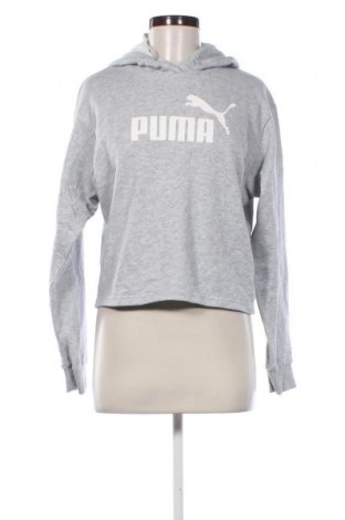 Damen Sweatshirt PUMA, Größe S, Farbe Grau, Preis 33,99 €