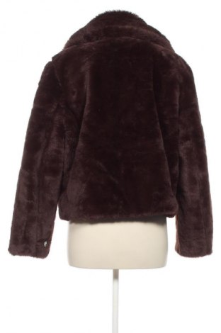 Damenmantel Ed.it.ed, Größe L, Farbe Braun, Preis 54,99 €