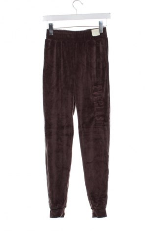 Damen Sporthose Everlast, Größe XS, Farbe Braun, Preis 53,99 €