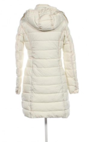 Damenjacke Desigual, Größe S, Farbe Ecru, Preis 184,99 €