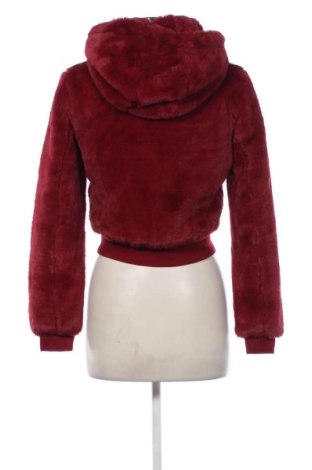 Dámska bunda  Forever 21, Veľkosť S, Farba Červená, Cena  23,95 €