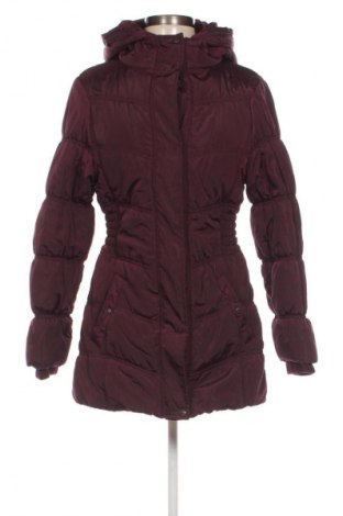 Dámská bunda  U Collection, Velikost M, Barva Fialová, Cena  769,00 Kč