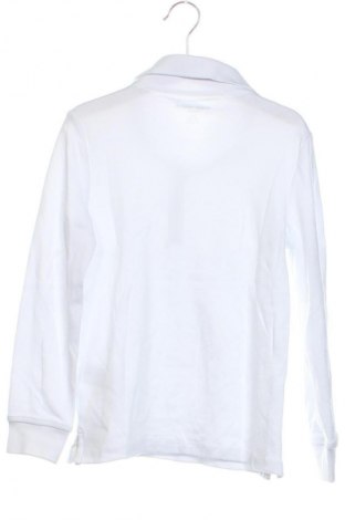 Kinder Shirt Amazon Essentials, Größe 4-5y/ 110-116 cm, Farbe Weiß, Preis € 10,99