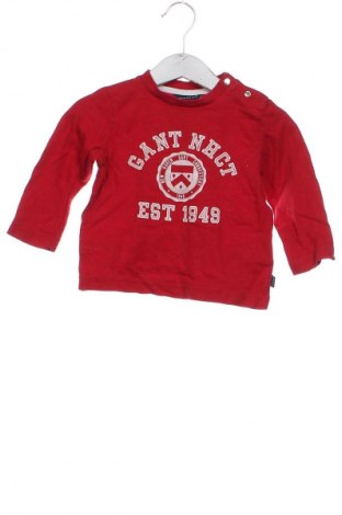 Kinder Shirt Gant, Größe 6-9m/ 68-74 cm, Farbe Rot, Preis € 21,00