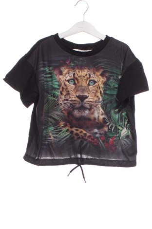 Dětská halenka  H&M, Velikost 8-9y/ 134-140 cm, Barva Vícebarevné, Cena  152,00 Kč