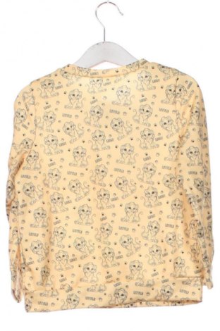 Gyerek blúz Unbranded, Méret 5-6y / 116-122 cm, Szín Sokszínű, Ár 2 400 Ft
