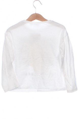 Detská blúzka  Zara, Veľkosť 4-5y/ 110-116 cm, Farba Viacfarebná, Cena  7,12 €
