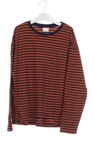 Kinder Shirt Zara, Größe 13-14y/ 164-168 cm, Farbe Mehrfarbig, Preis 7,19 €
